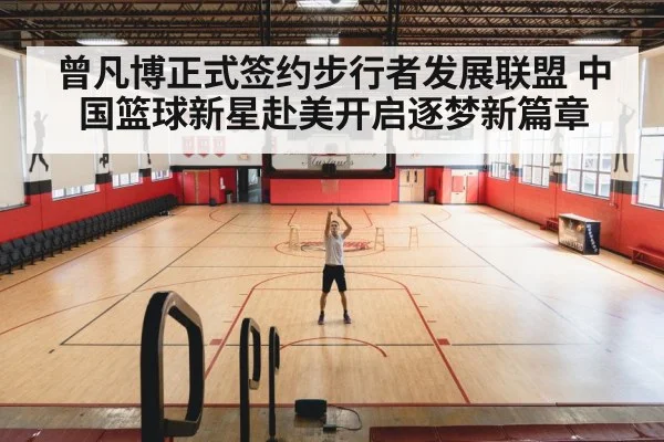 basketball training court